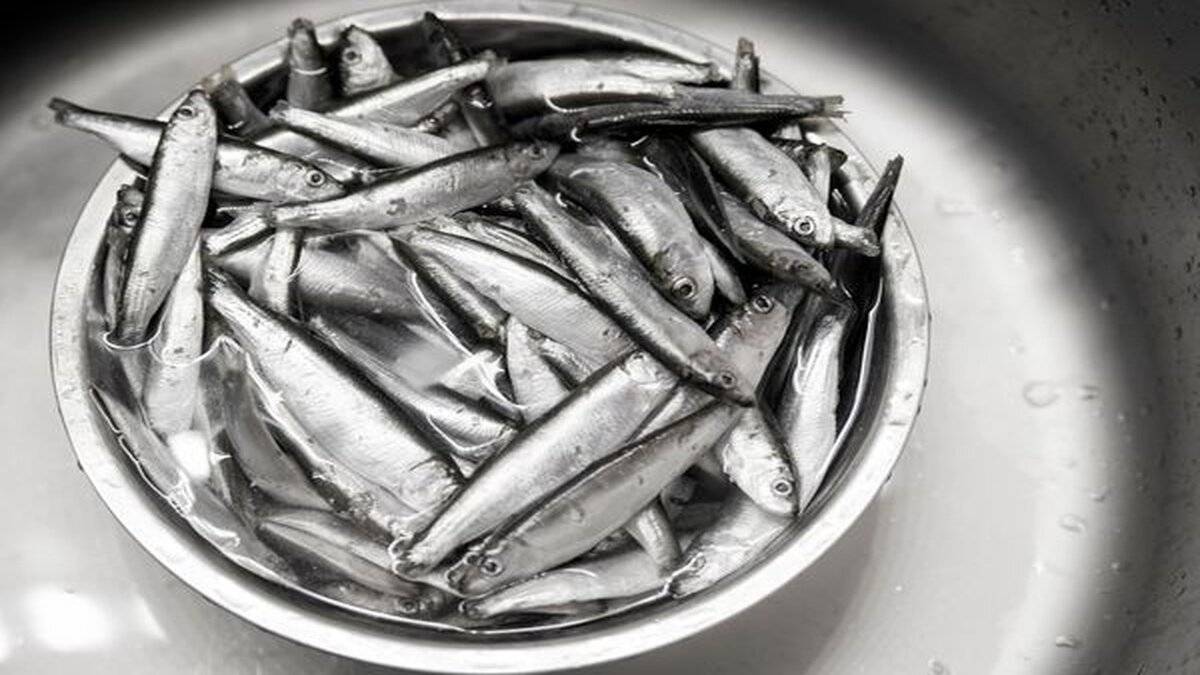 Omega-3 deposu hamsinin bedene olan inanılmaz etkileri!