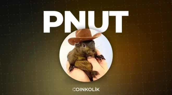 Peanut Coin (PNUT) nedir?